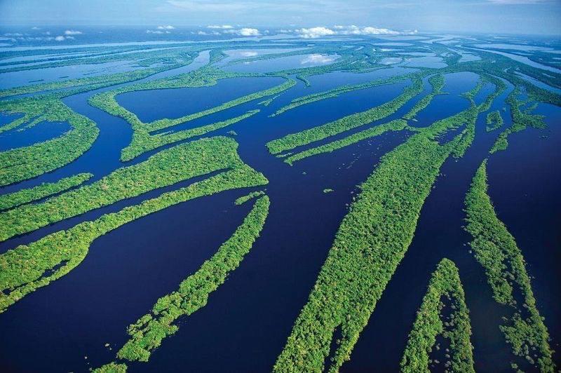 Amazonia Parksuites Novo Airão Eksteriør bilde